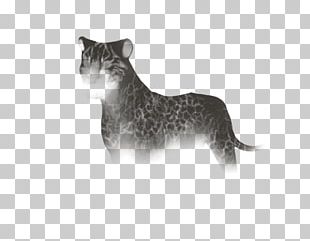 Tiger Muttley Lion Hyena PNG, Clipart, Big Cats, Carnivoran, Cartoon ...