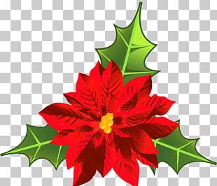 Flower Arranging People Christmas Decoration PNG, Clipart, Christmas ...