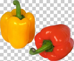 Bell Pepper Chili Pepper Vegetable PNG, Clipart, Bell Peppers And Chili ...