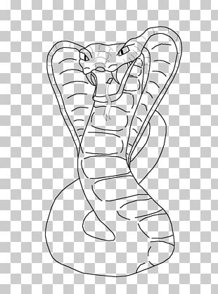 King Cobra Black Mamba Snake PNG, Clipart, Animals, Area, Art, Black ...