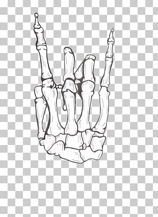 Human Skeleton Skull Hand Drawing PNG