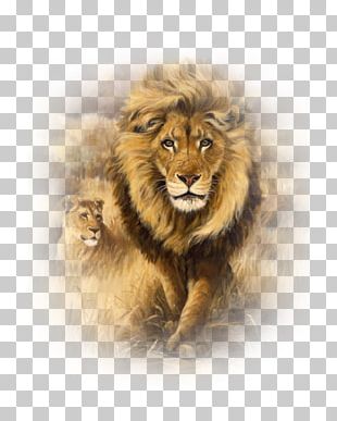 Lion Art Embroidery Painting Drawing PNG