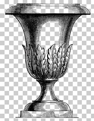 Drawing Flowerpot Vase Photography Illustration PNG, Clipart ...