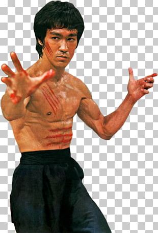 Bruce Lee PNG, Clipart, Bruce Lee Free PNG Download