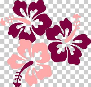 Hawaiian Hibiscus Drawing PNG, Clipart, Aloha, Artwork, Cut Flowers ...