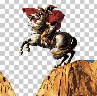 Horse Knight Equestrianism Culture PNG
