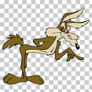 Wile E. Coyote And The Road Runner Cartoon Looney Tunes PNG, Clipart ...