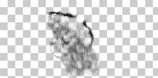 Ear Drawing Canidae Line Art Sketch PNG