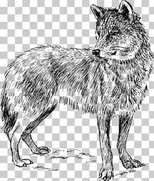 Dog Canidae Chibi Drawing Black Wolf PNG, Clipart, Anime, Art, Black ...