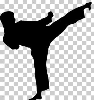 Karate Martial Arts Sport Taekwondo Silhouette PNG, Clipart, Angle, Arm ...