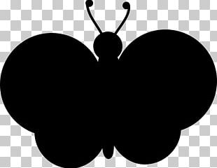 Butterfly Insect Bird Shape PNG
