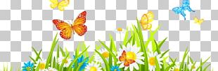 Wildflower Desktop PNG, Clipart, Blossom, Bush, Desktop Wallpaper ...