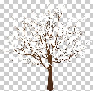Tree Winter Branch PNG