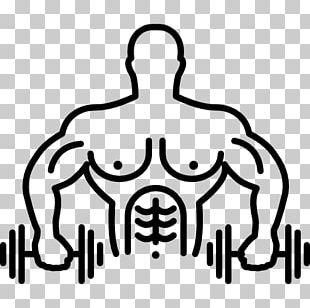 Skeletal Muscle Computer Icons Human Body PNG, Clipart, Anatomy, Angle ...