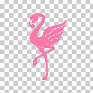 Flamingo Logo T-shirt Brand Clothing PNG