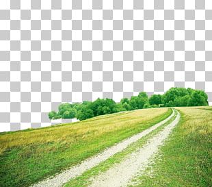 Grass Road PNG Images, Grass Road Clipart Free Download
