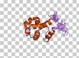 Corticotropin-releasing Hormone Receptor 1 Gene Corticotropin-releasing ...