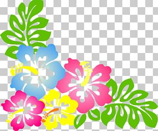 Blue Hawaii Cuisine Of Hawaii Luau PNG, Clipart, Blog, Blue Hawaii, Cut ...