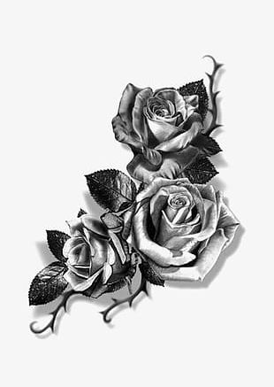 How to Draw a Rose Easily  ehow