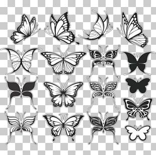 630+ Free Download Butterfly Tattoo Png HD Tattoo Photos