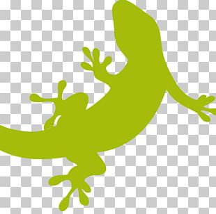 Lizard Gekkota Gecko Reptile Cecak PNG