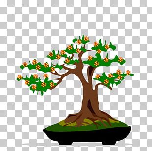 Bonsai Tree PNG, Clipart, Art, Bonsai, Bonsai Tree, Desktop Wallpaper ...