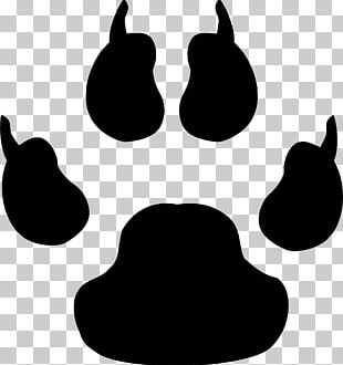 Cat Dog Paw Footprint PNG
