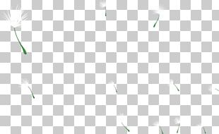White Black Pattern PNG