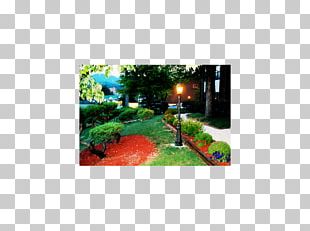 Oakmont Resort Tree Tops Resort Hospitality Industry TripAdvisor PNG