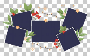 Polaroid Frame - Decorative Photo Frames With Leaves And Berries PNG
