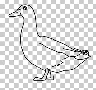 Donald Duck Daisy Duck Drawing Png Clipart Art Artwork Beak