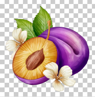 Plums - Ripe Purple Plums With Floral Details PNG
