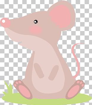 Laboratory Mouse Laboratory Rat Drawing PNG, Clipart, Animal Figure ...