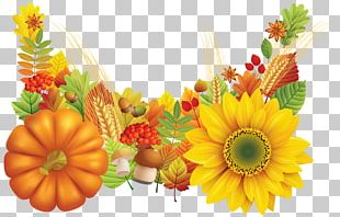 Thanksgiving Autumn Wish PNG, Clipart, Autumn Leaf Color, Birthday ...