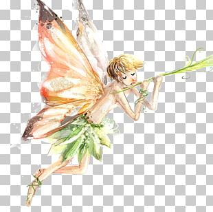 Watercolor Painting Cartoon Elf Fairy Illustration PNG