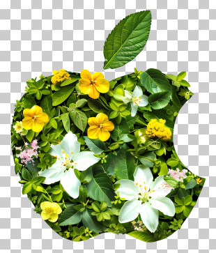 Apple Logo - Apple-Shaped Floral Arrangement Design PNG