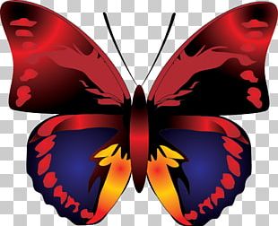 Butterfly PNG