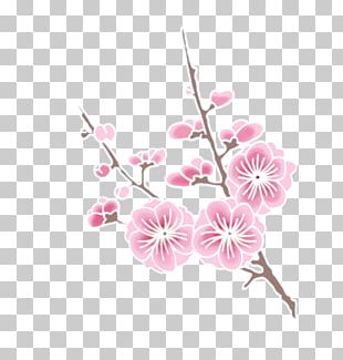 Cherry Blossom Drawing PNG, Clipart, Area, Blossom, Blossoms, Blossoms ...