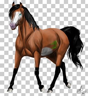 Cavalo branco, cavalo da Mongólia cavalo árabe cavalo Ferghana cavalo  Akhal-Teke, cavalo branco pulando, cavalo, animais, preto branco png