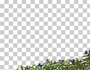 Lion Hunger Maahes Grasses Plant PNG
