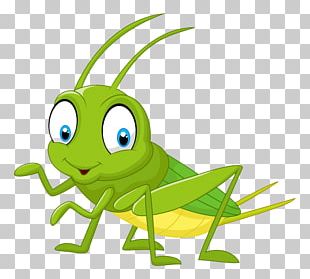 Grasshopper Cartoon PNG, Clipart, Animation, Arthropod, Cartoon ...