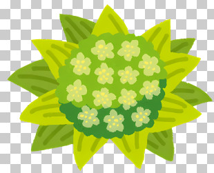 Icon - Green Flower With Yellow Petals PNG