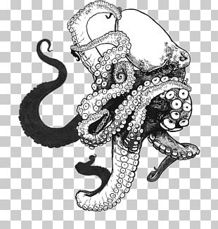 Octopus Drawing PNG