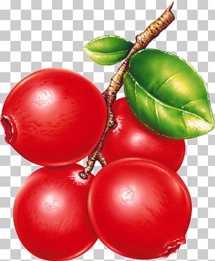 Natural Foods Food Tomato PNG