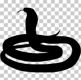Rattlesnake Cobra Vipers PNG