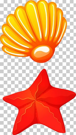 Seafood Seashell PNG