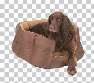 Boykin Spaniel English Cocker Spaniel Field Spaniel Sussex Spaniel Irish Setter PNG
