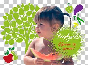 Watermelon Organic Food Organic Farming Vegetable PNG