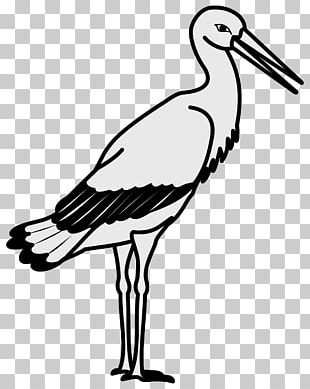 White Stork Crane Bird PNG