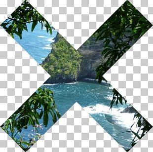 Photography Desktop The Xx PNG
